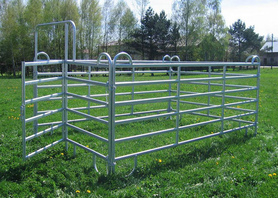Haisen Horse Corral Panels Powder Coated 6 Bars Cattle for Famr and Yard
