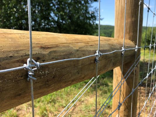 Скотины суставного сочленения загородки 1.2m узла оленей фиксированные загородка поля ячеистой сети