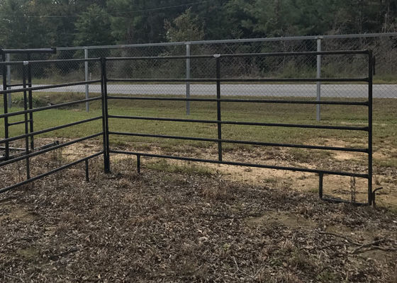 Ворота лошади обшивают панелями покрытую порошком ферму поголовья металла поверхностного покрытия