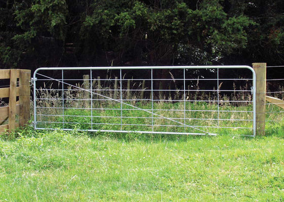 Гальванизированные ворота загородки сада металла 13 фута обрабатывают землю с инфиллед сваренной ячеистой сетью